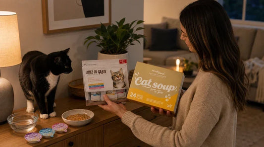 Cat Food Ingredients: A Plain-English Label Guide
