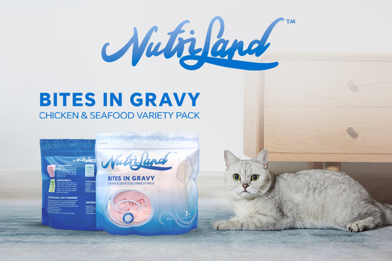 NutriLand wet cat treat feeding and storage guide