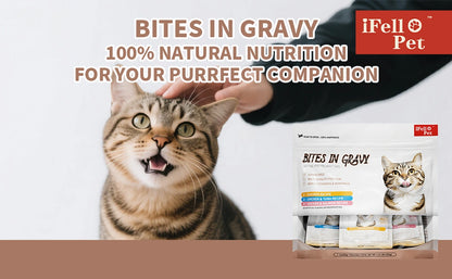 iFello Pet Bites in Gravy Wet Cat Food Variety Pack — 7 Pouches