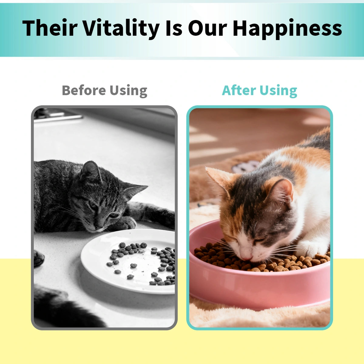 NutriLand nutritional gel for cats and dogs product image 7