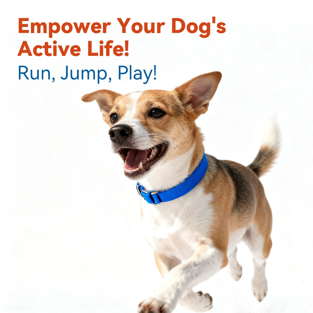 NutriLand glucosamine tablets for dogs product image 9