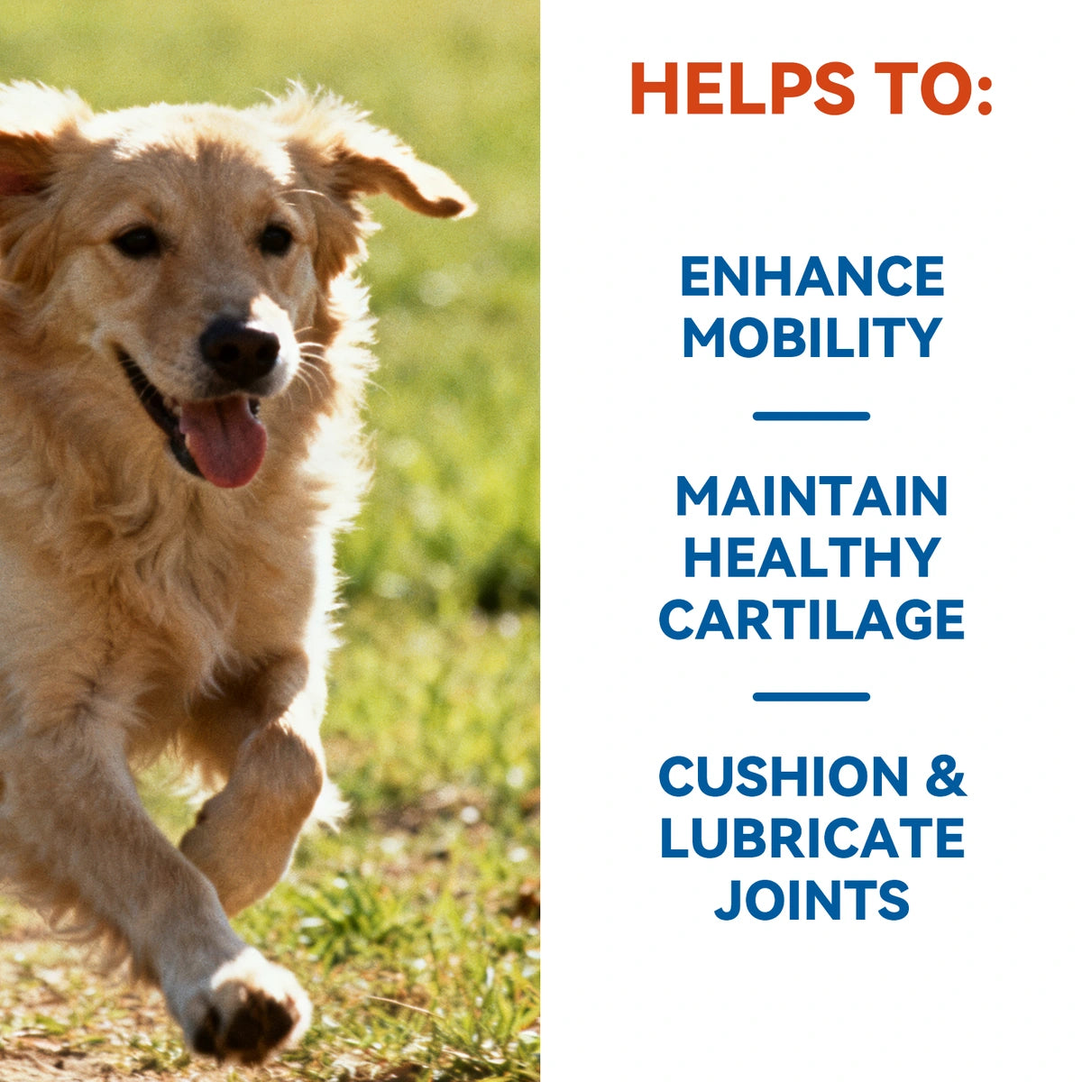 NutriLand glucosamine tablets for dogs product image 11
