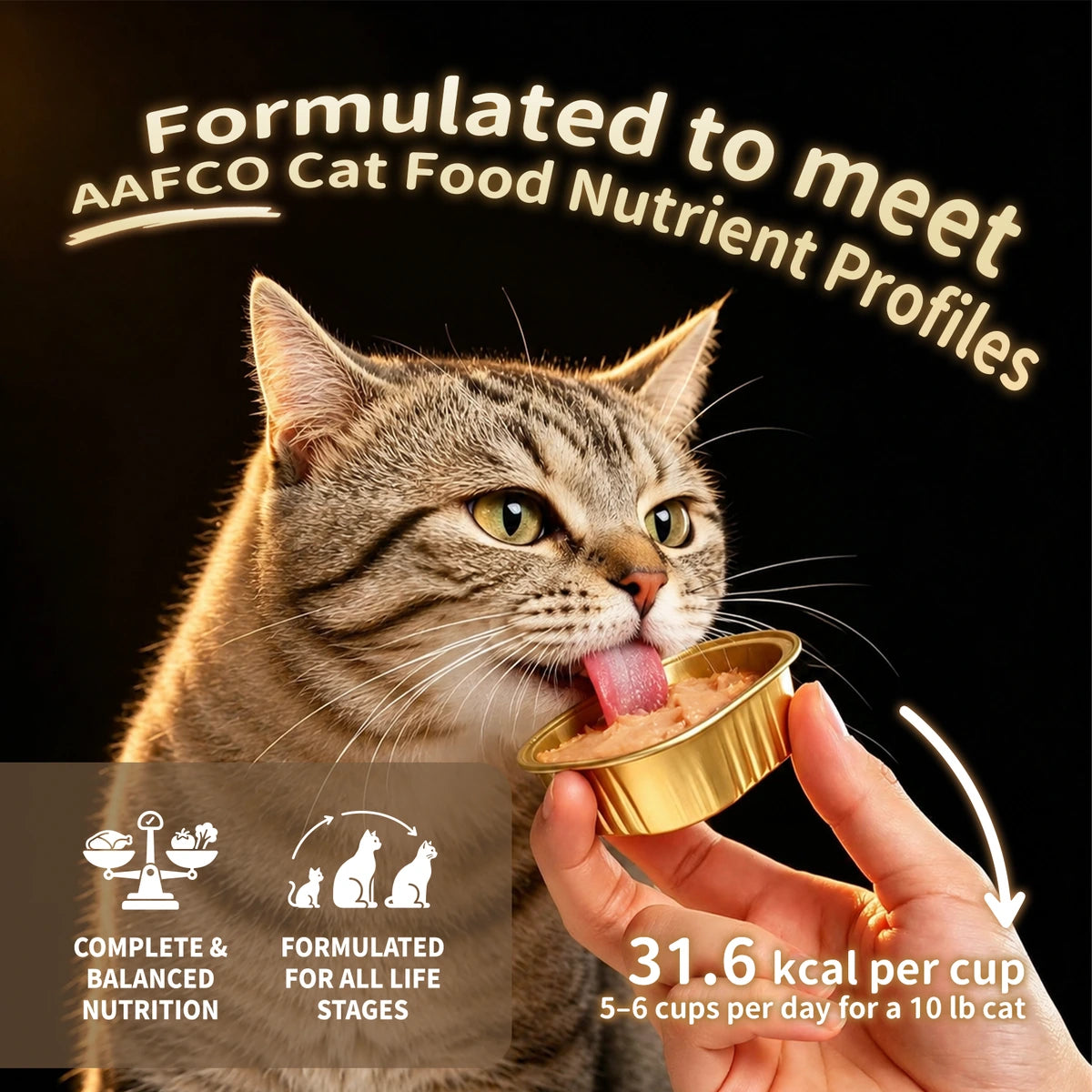 MordyLand DuoNourish dual-layer nutritional mousse wet cat food variety pack product image 10