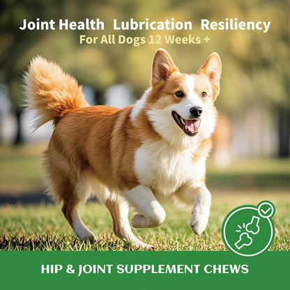 Soft dog joint chews serving presentation