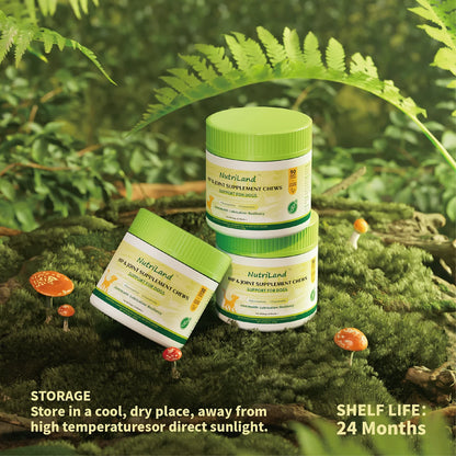 Dog hip and joint supplement soft chews